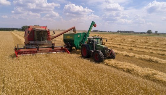 WilliamsCPAandAssociates-Relief for Drought-Stricken Farmers and Ranchers WilliamsCPAandAssociates-Relief for Drought-Stricken Farmers and Ranchers